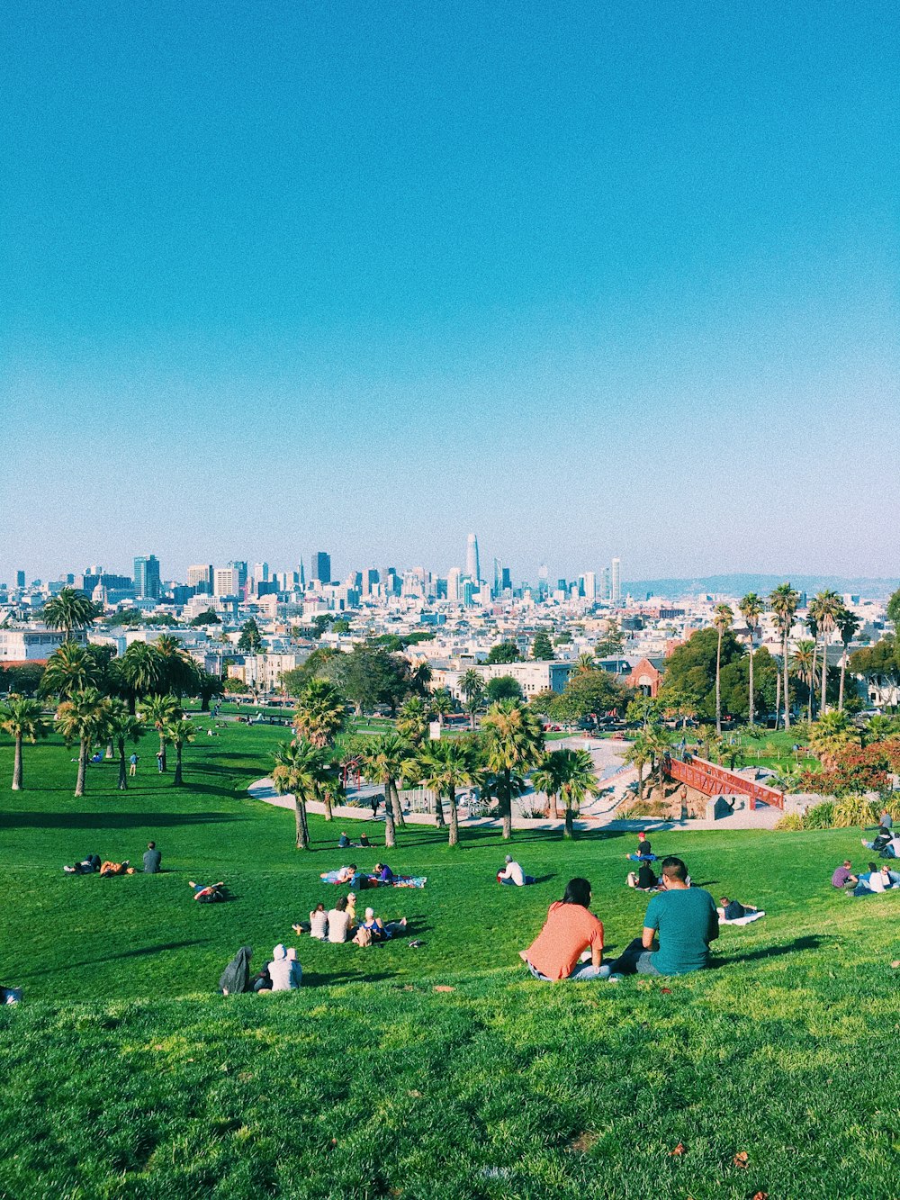 people resting on green grass park