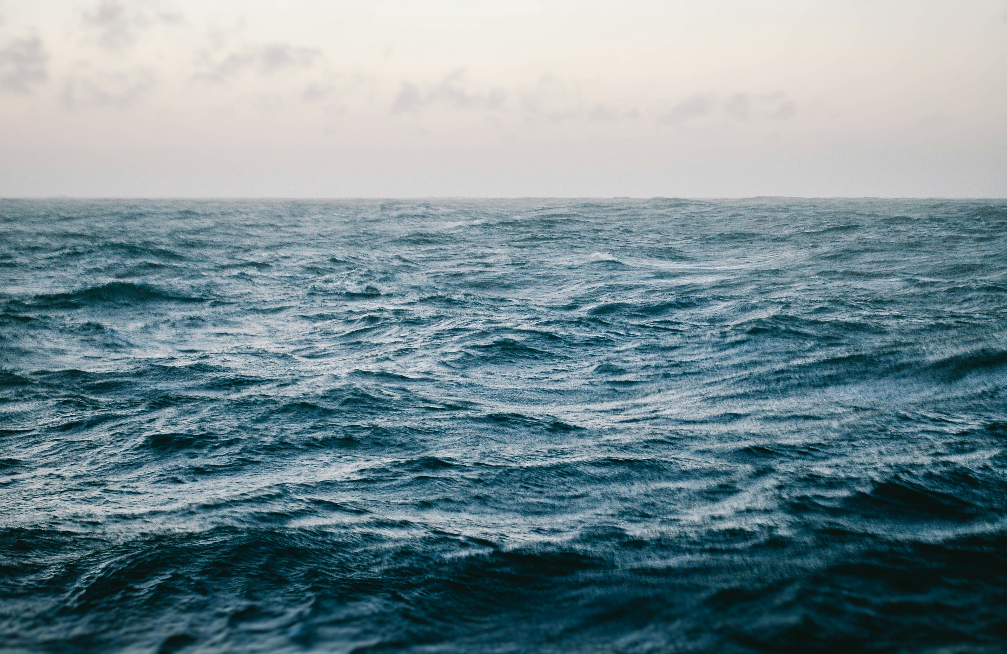 Photo by henriquesetim