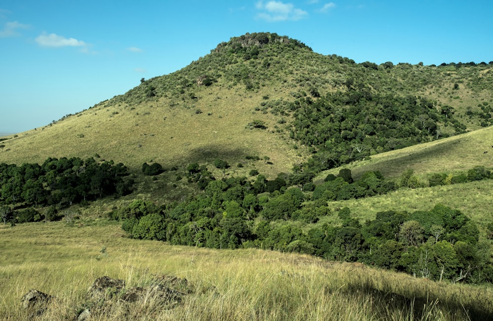 geren mountain slope scenery