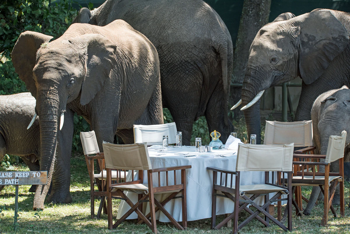 Exclusive tented camp