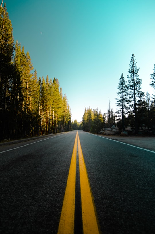 asphalt road in Yosemite National Park United States