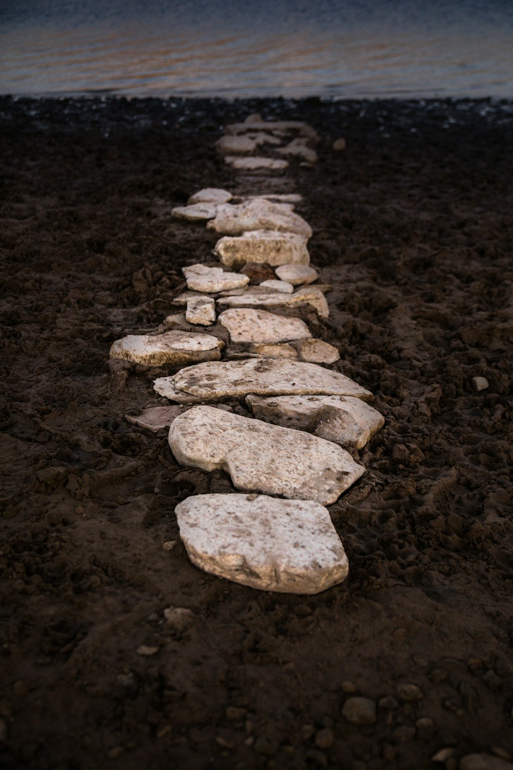 white stones on shore during daytime