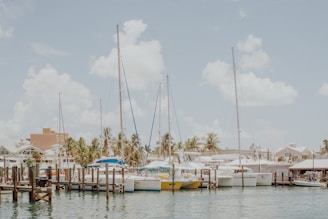 A serene marina filled with sailboats docked at wooden piers. The sky is bright and partly cloudy, creating a tranquil atmosphere. Palm trees line the shore, and a few buildings are visible in the background.