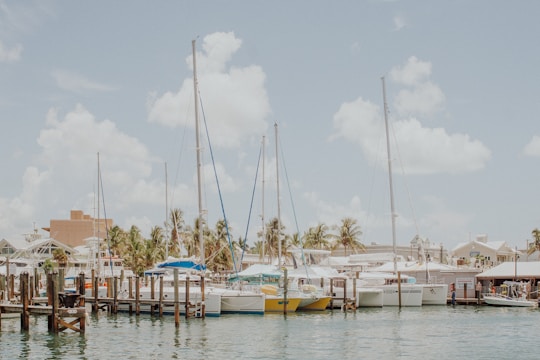 A serene marina filled with sailboats docked at wooden piers. The sky is bright and partly cloudy, creating a tranquil atmosphere. Palm trees line the shore, and a few buildings are visible in the background.