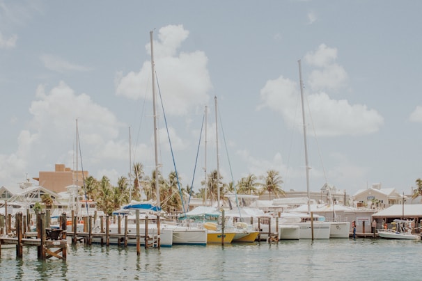 A serene marina filled with sailboats docked at wooden piers. The sky is bright and partly cloudy, creating a tranquil atmosphere. Palm trees line the shore, and a few buildings are visible in the background.