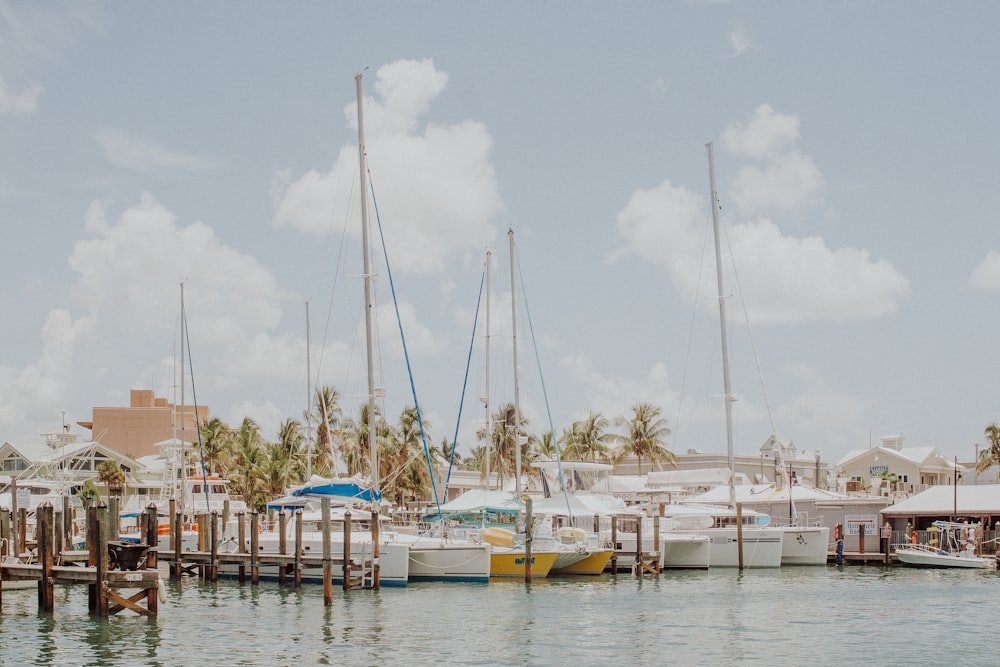 white boat lot