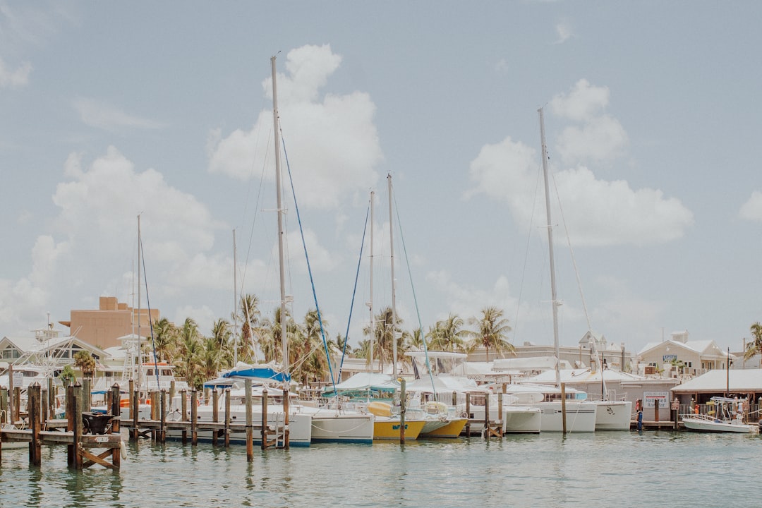 white boat lot,