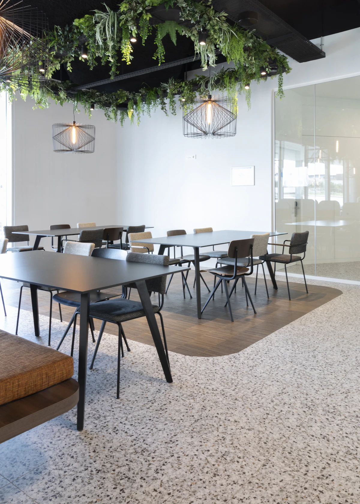 A bright modern studio with a hanging garden of greenery overhead