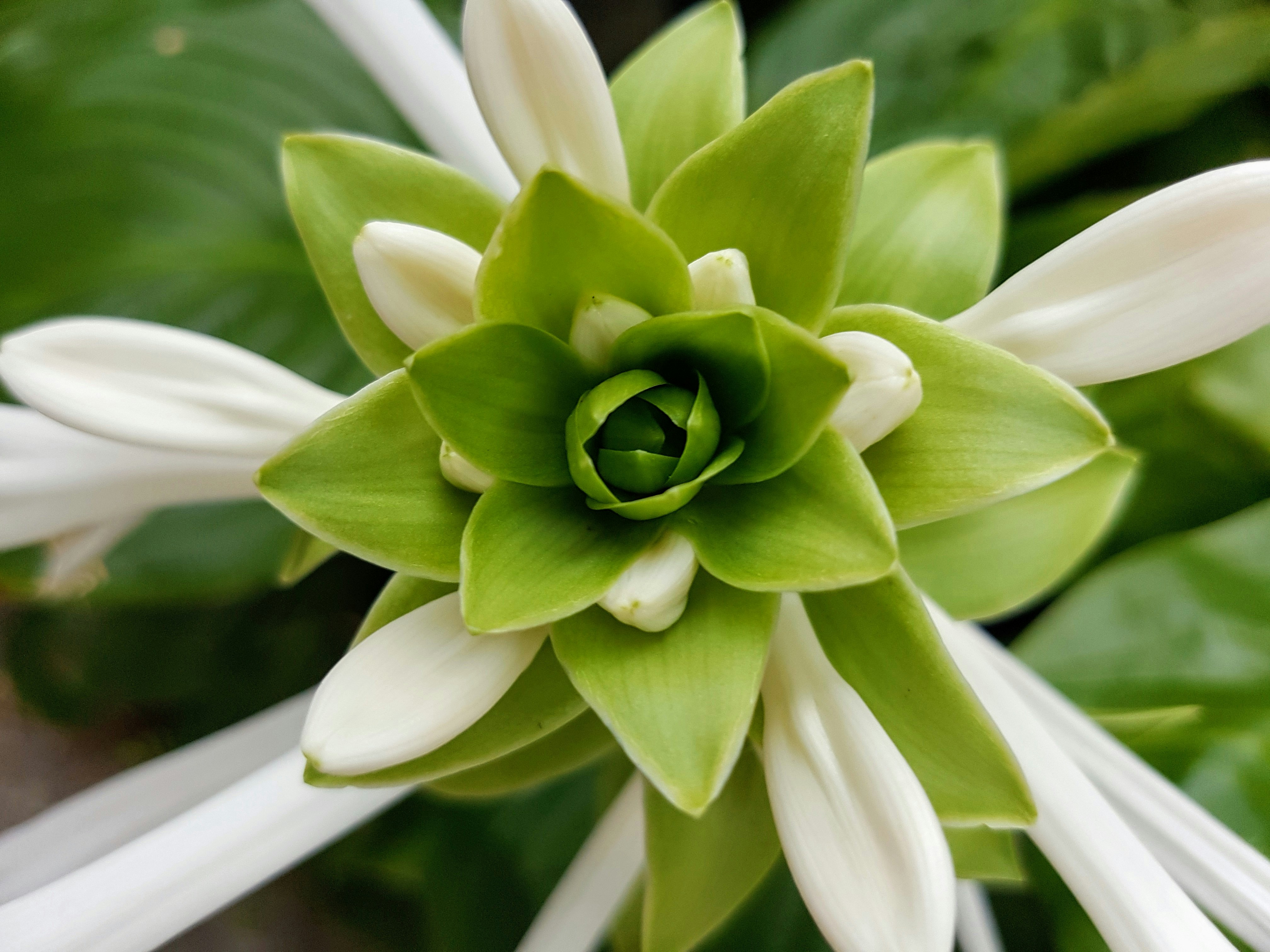 Photography by Daniel Lombraña