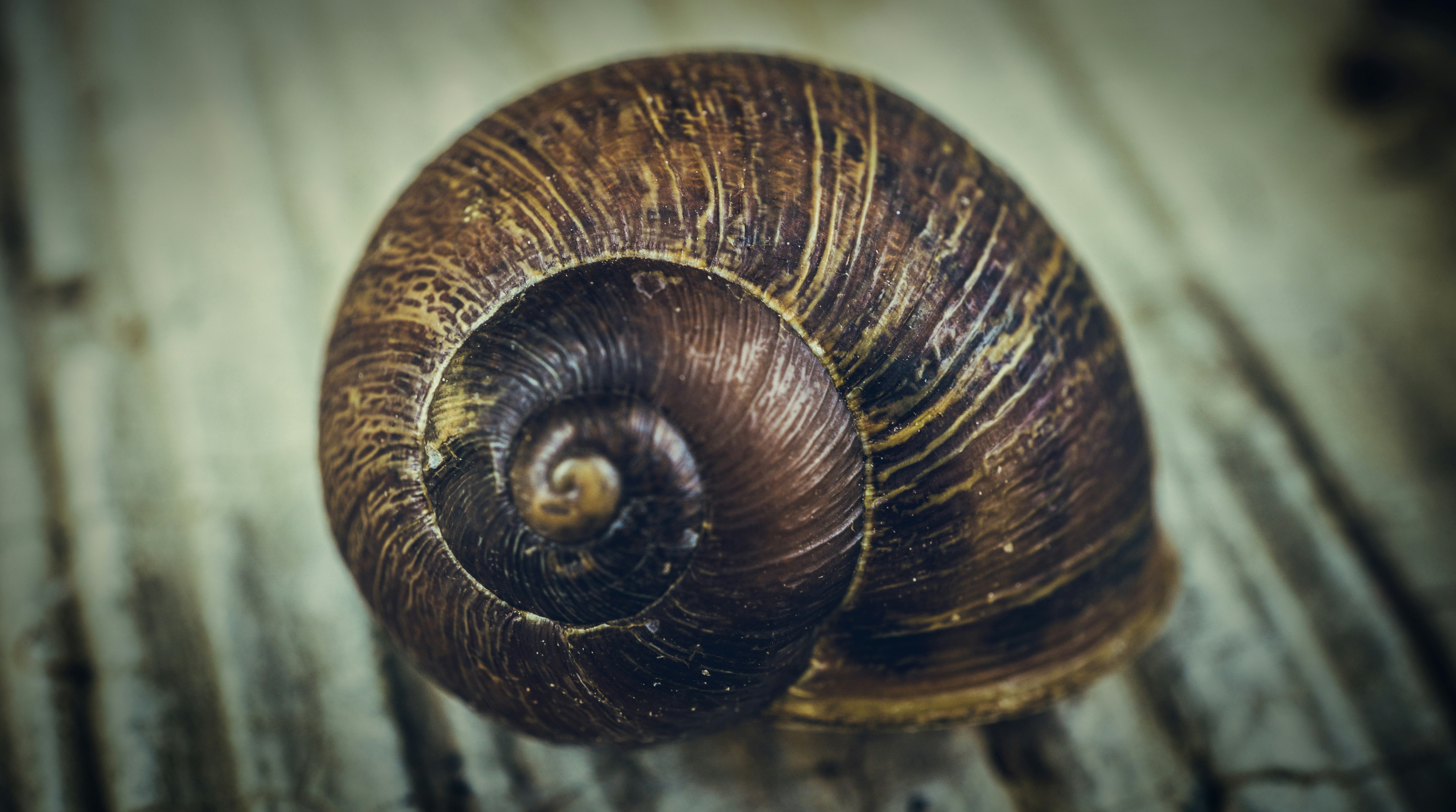 photo 1535804277763 a9306a0dd1a9?ixlib=rb 4.0