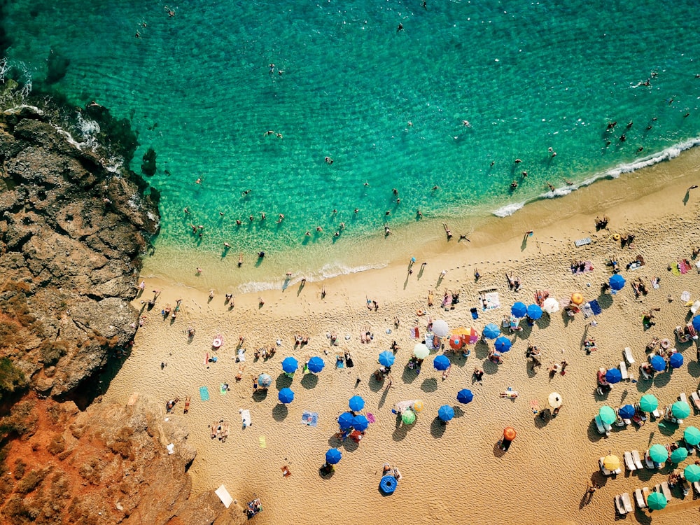 aerial view photography of people on seashore during daytime