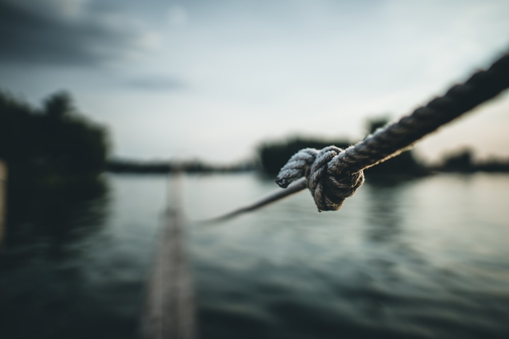 selective focus photography of gray rope