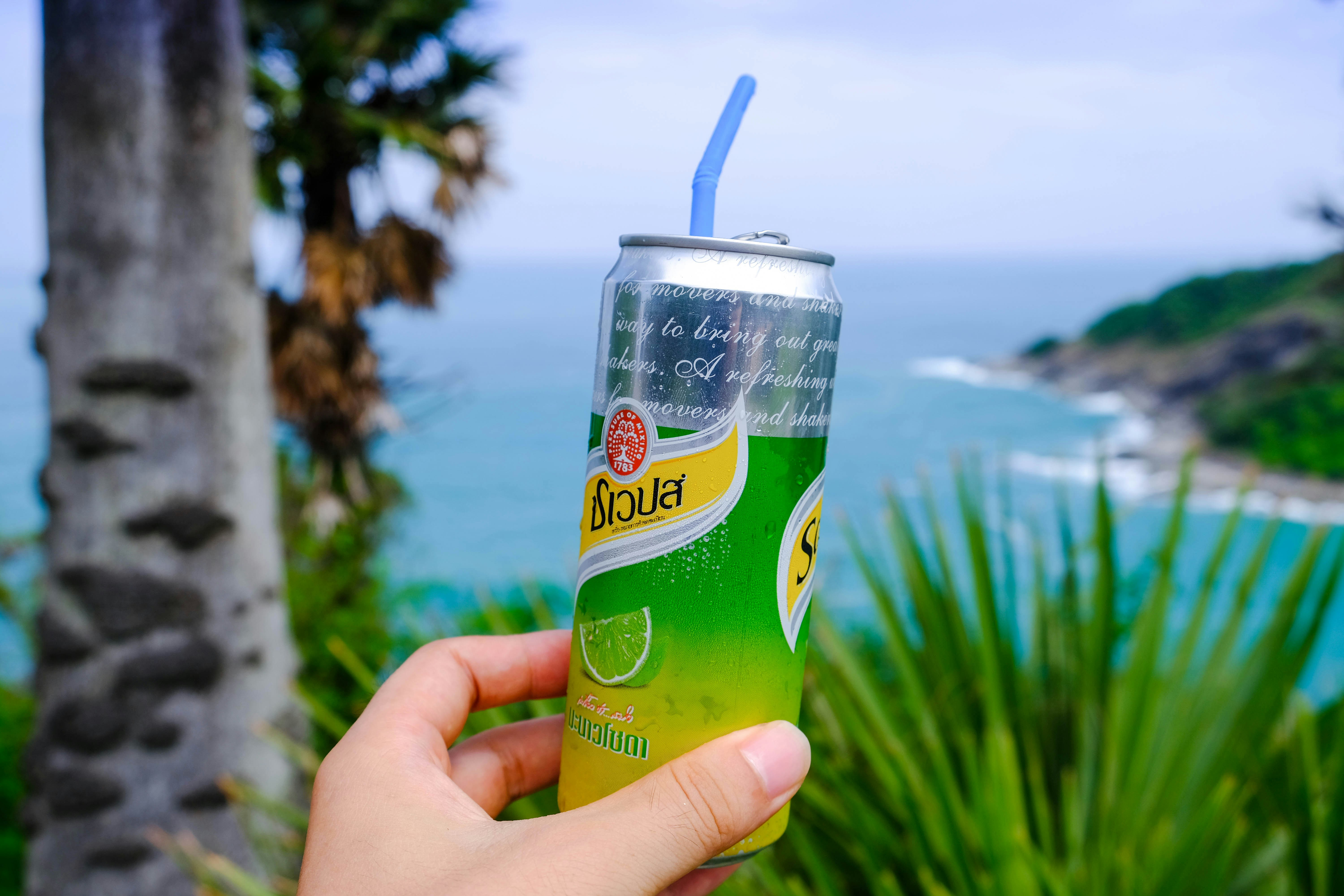 Tropical Mango Splash