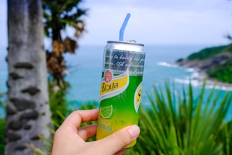 A can of beverage is held up against a scenic background featuring a tropical landscape with the ocean and palm trees. The can has green and silver colors with lime imagery and text in a language that is not English. A straw protrudes from the can.