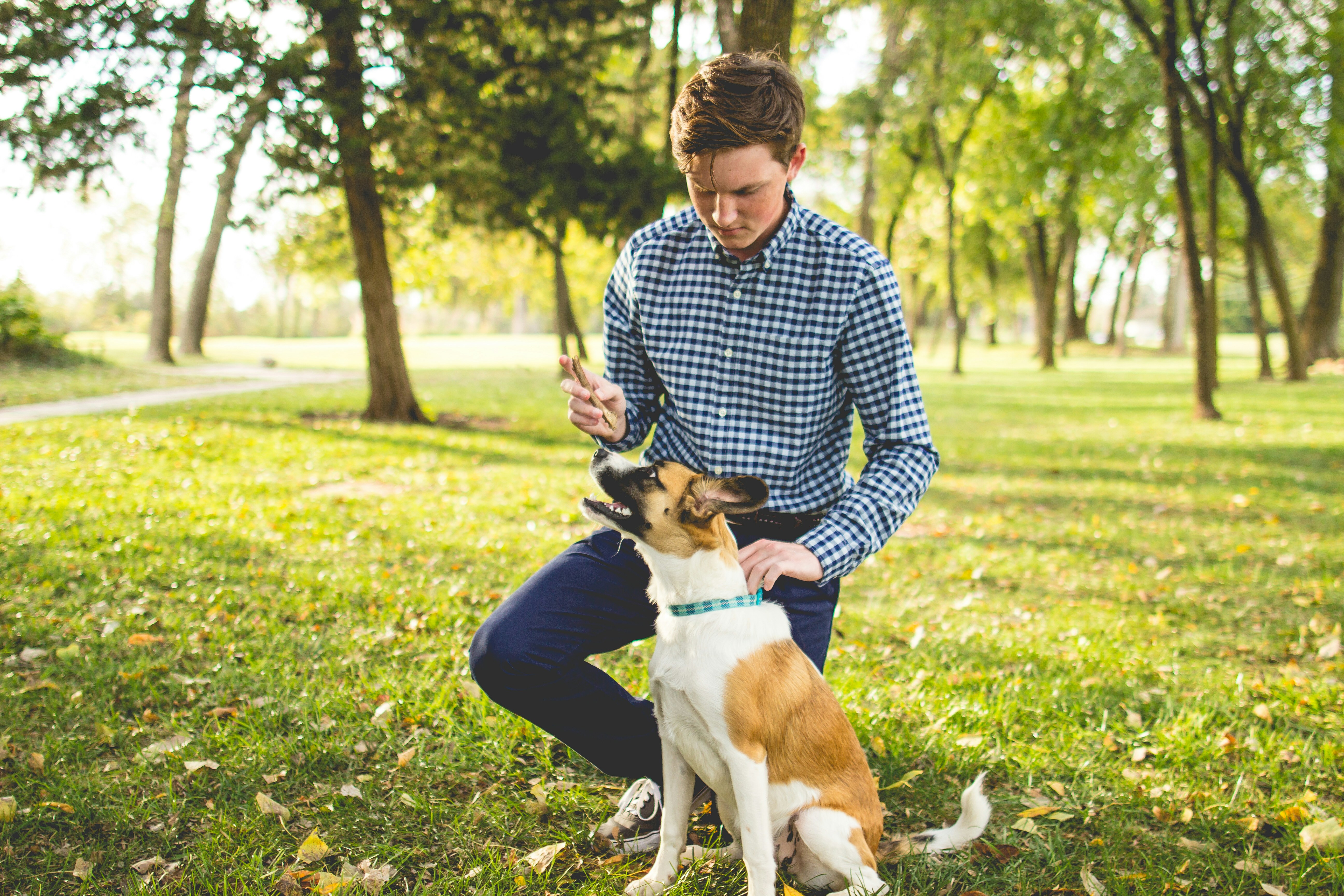 Why Your Dog Is an Angel at the Vet and a Gremlin at Home