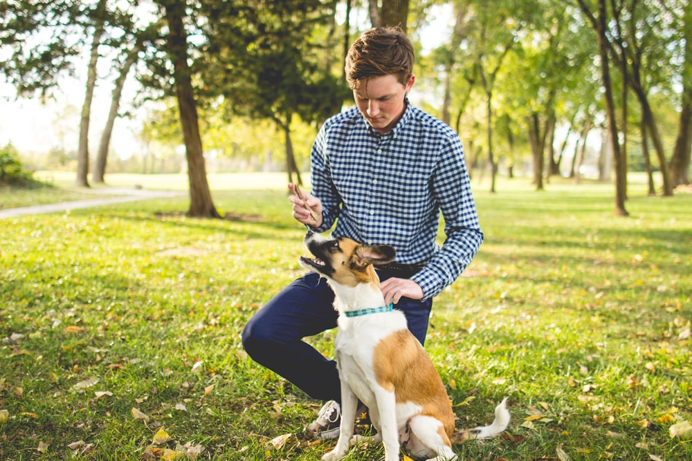 men's white and blue gingham dress shirt