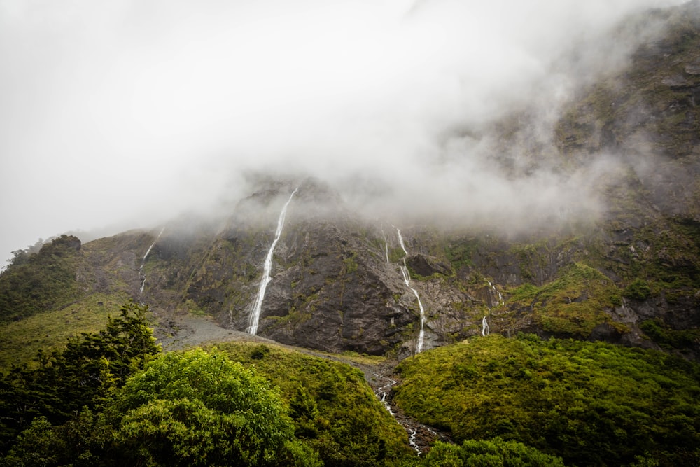 green trees near mountain