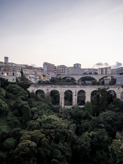 brown concrete bridge near green trees during daytime