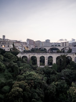 brown concrete bridge near green trees during daytime