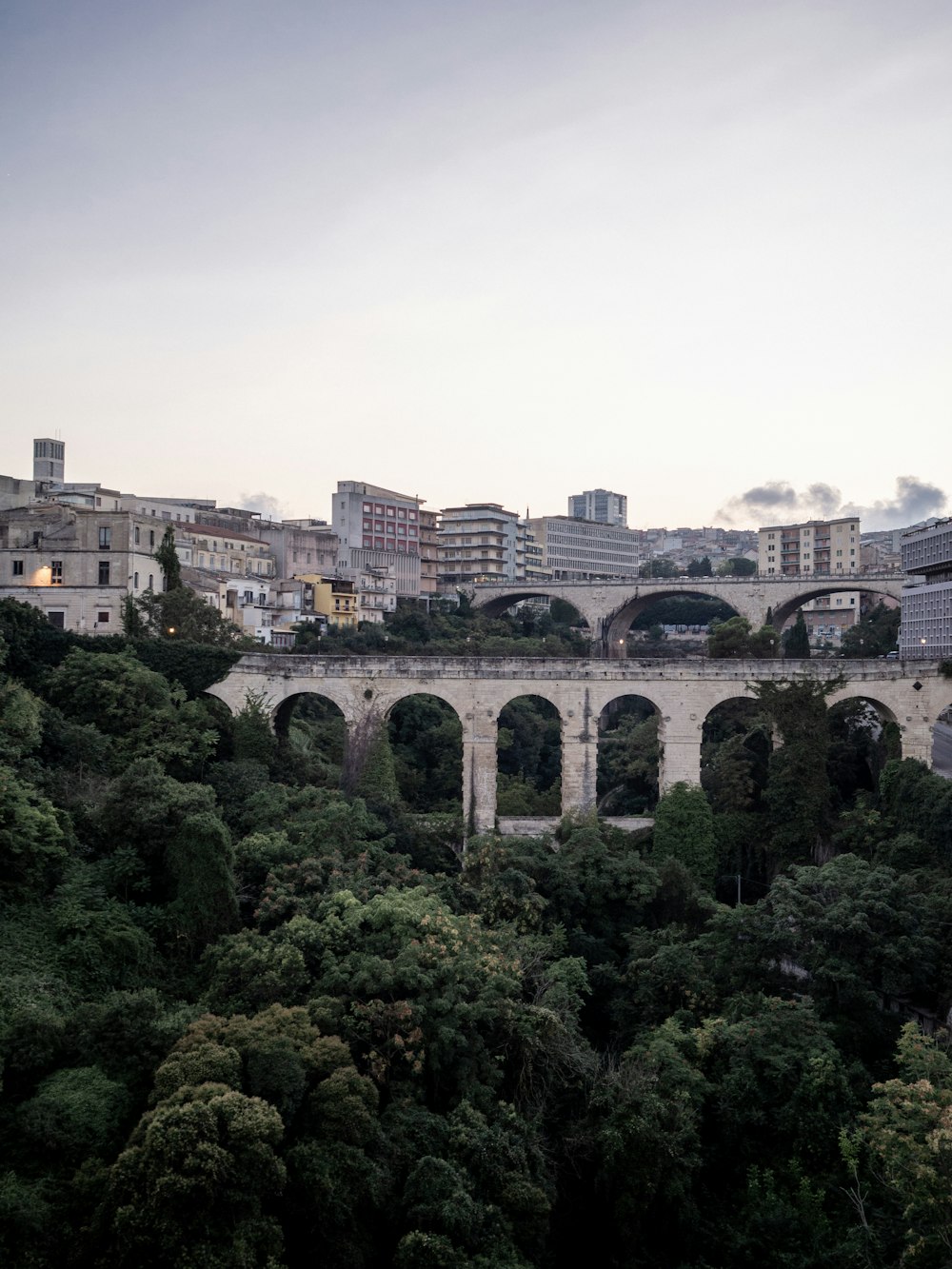 brown concrete bridge near green trees during daytime