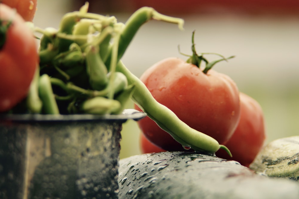 orange tomatoes