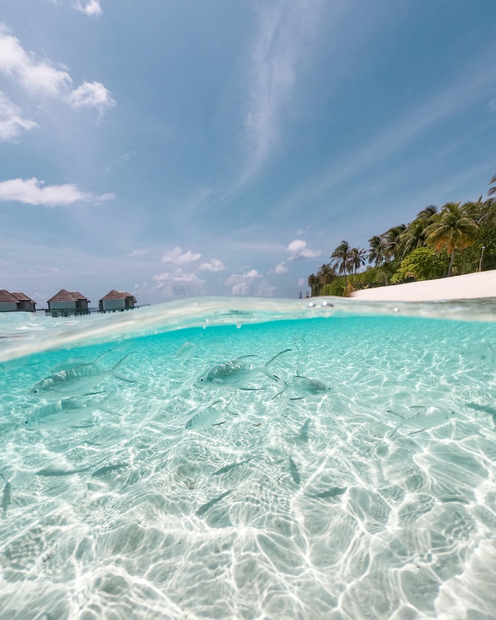 photo of body of water with nipa hut