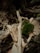 A hand holds a small composition of natural elements, including a piece of moss, a dry leaf, and a twig. The background consists of a forest floor with fallen leaves and twigs, creating a rustic, earthy atmosphere.