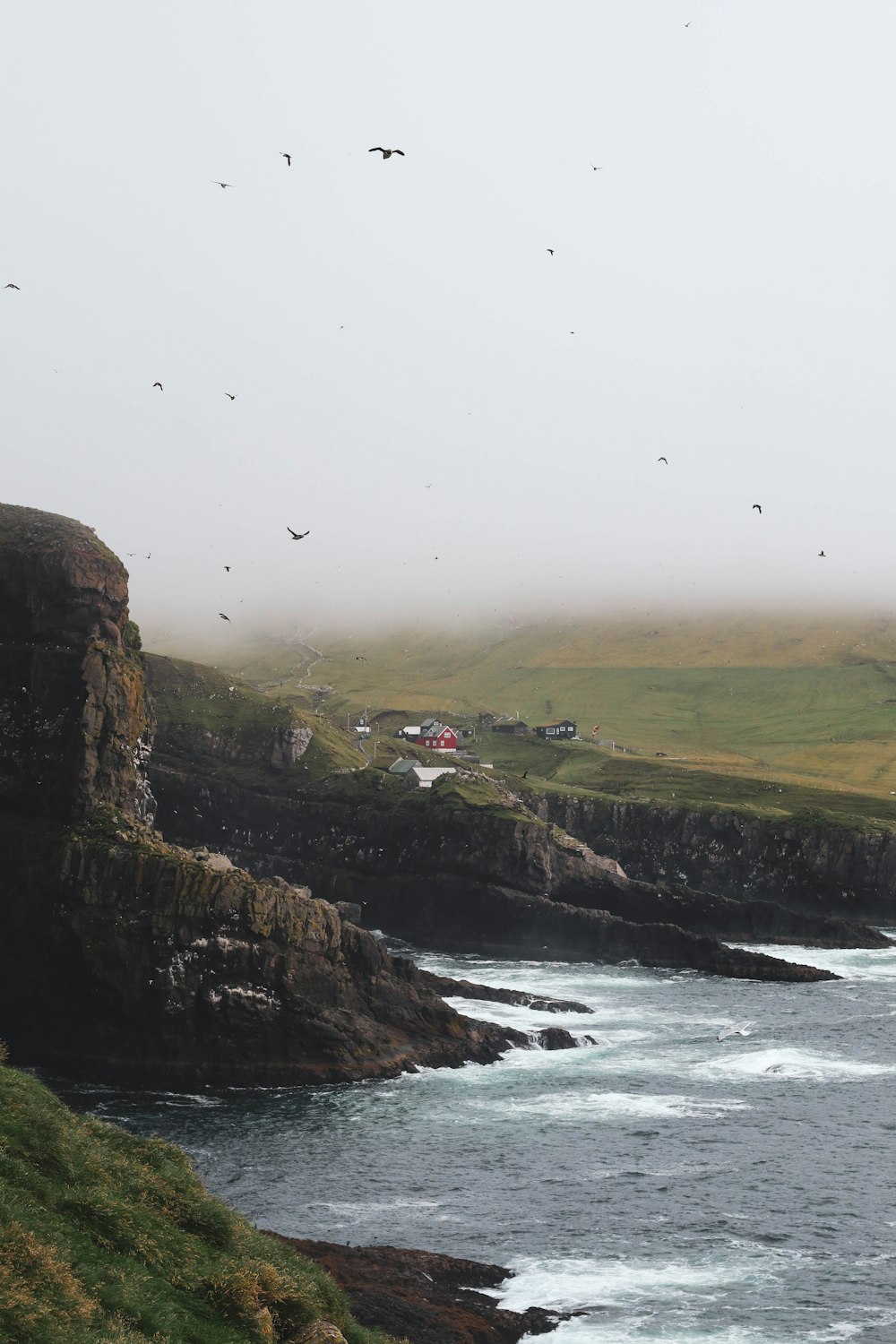 flock of birds flying above body of water