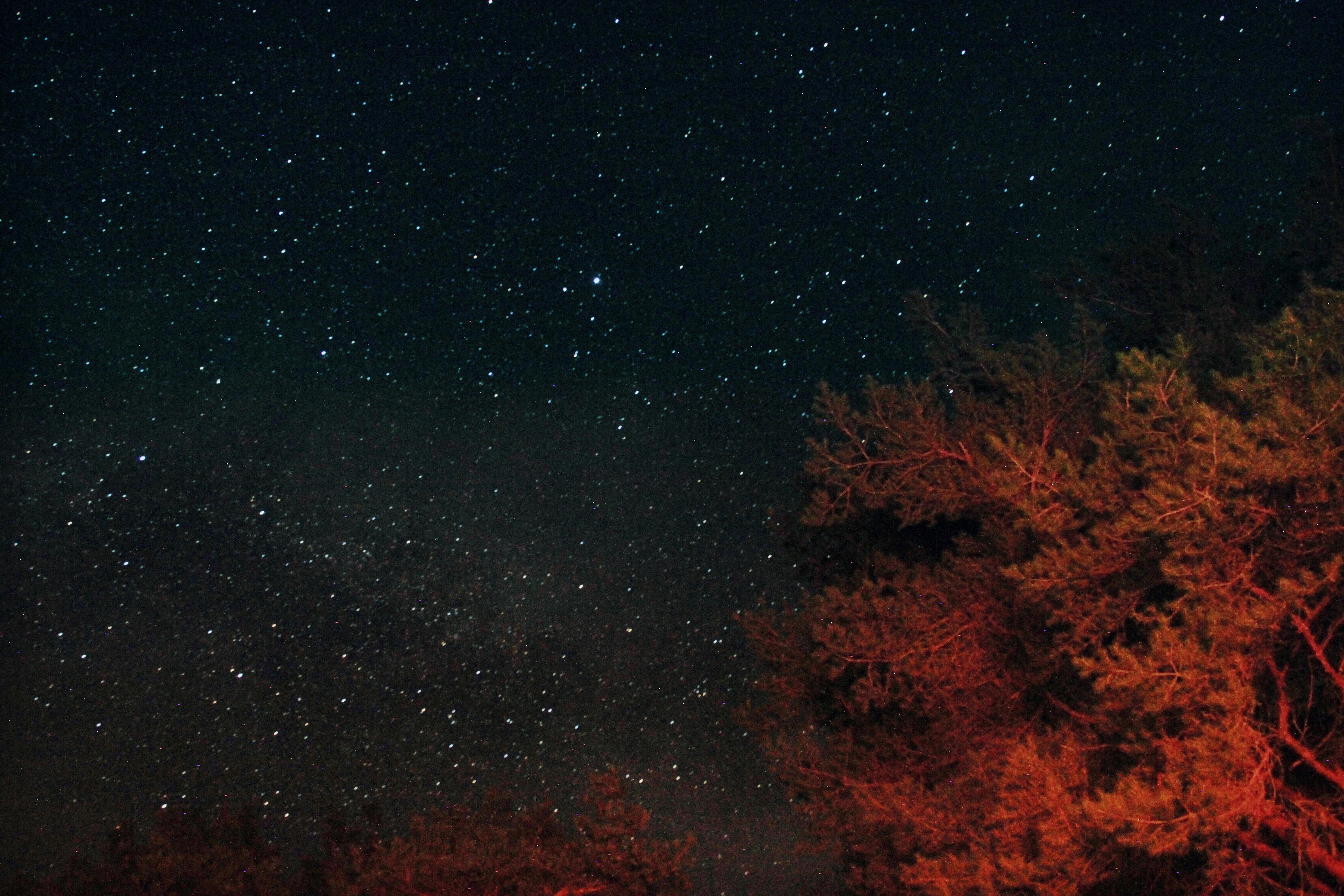 Photo by brodychilds