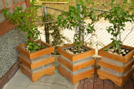Elegant terracotta pots with lush plants arranged on a minimalist patio.