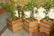 Stylish terracotta planters arranged on a wooden deck surrounded by greenery.