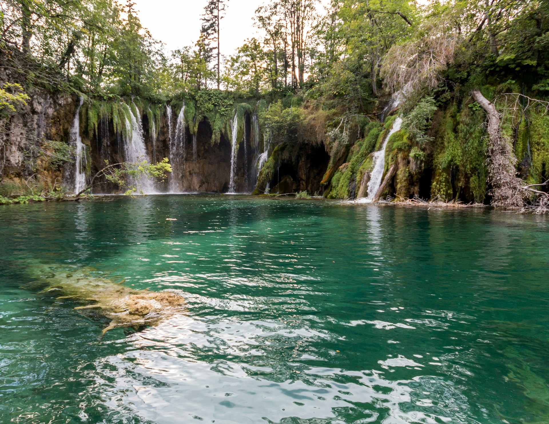A serene waterfall cascading into a clear pool, framed by dense tropical trees and colorful orchids.