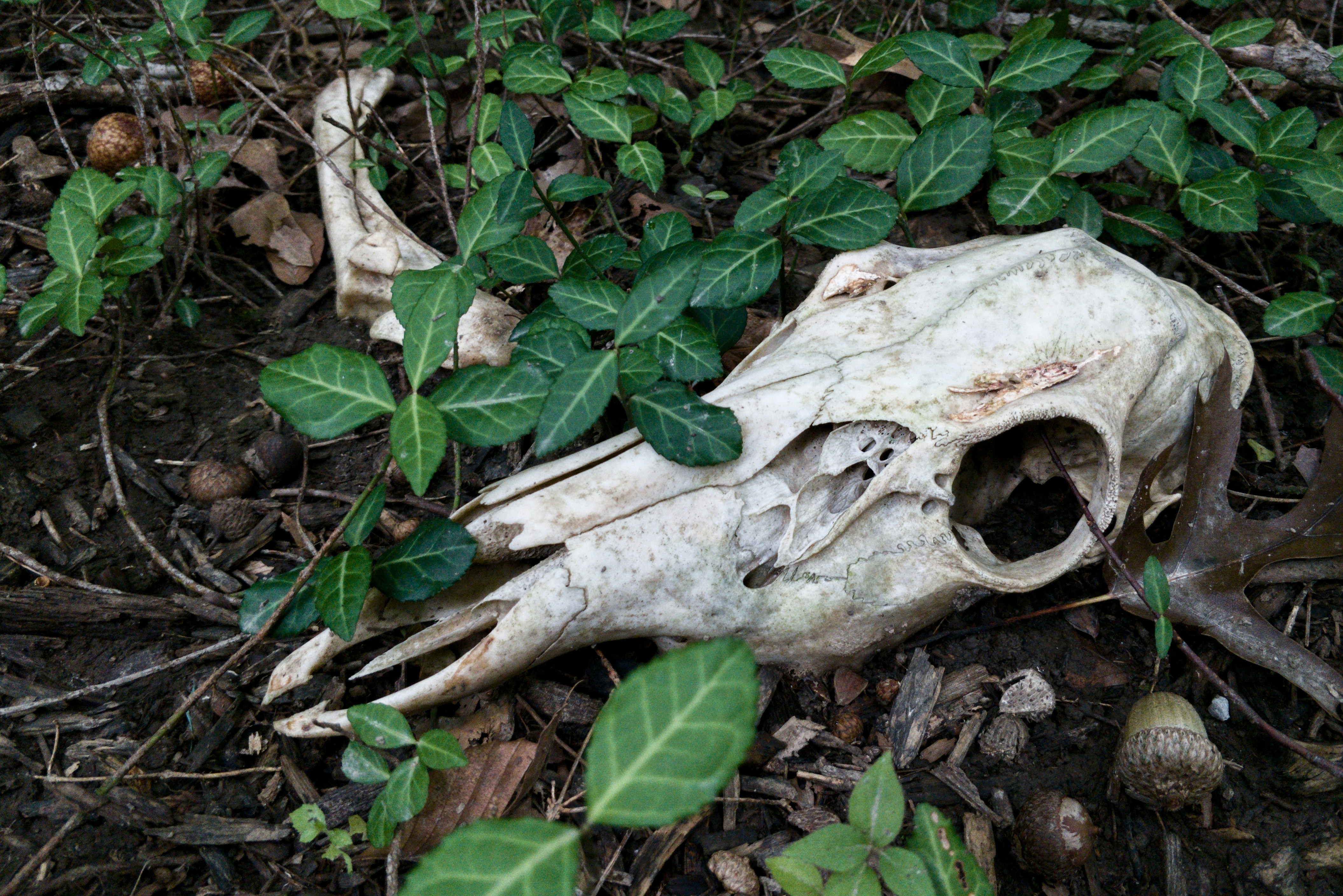 photo 1535839852308 e9dde5c0821f?ixlib=rb 4.0