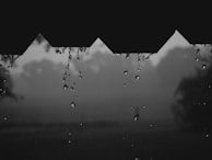 Raindrops are dripping from a roof edge with a blurred background of misty trees and overcast sky, creating a serene and contemplative atmosphere.