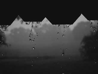 Raindrops are dripping from a roof edge with a blurred background of misty trees and overcast sky, creating a serene and contemplative atmosphere.
