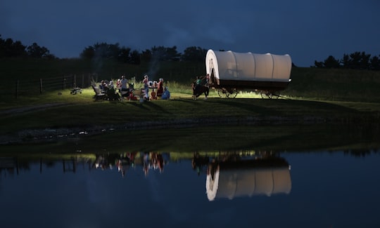 group of people near lake with white horse carriage in Dalton United States