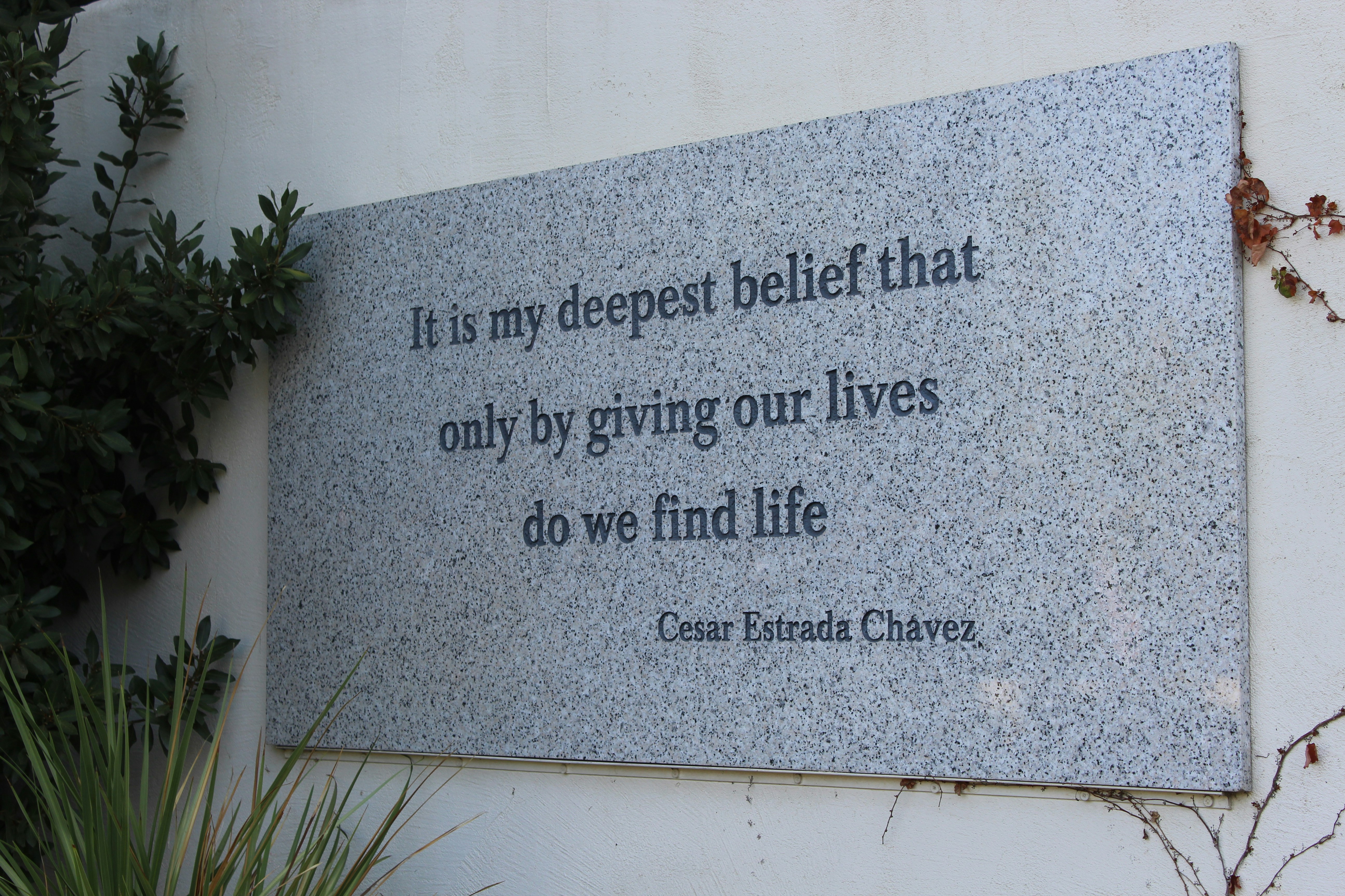 Planos de Saúde e Seguros