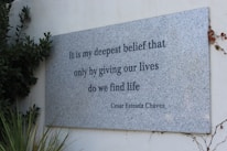 A gray stone plaque mounted on a white wall displays an inspirational quote by Cesar Estrada Chavez. The plaque is surrounded by green leaves and vines, adding a natural touch to the setting.