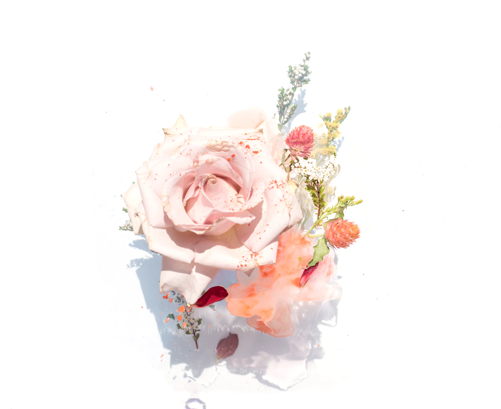 Una ilustración floral de pétalos y hojas superpuestos