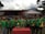 A group of young men wearing green sports jerseys with yellow accents are standing in a line, each displaying medals around their necks. In front of them is a table with several shiny trophies. Behind them, there is a small stage, a tent, and a mountain in the background.