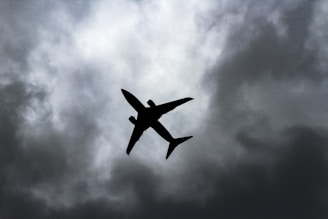 Seguridad Aérea y Miedo a Volar