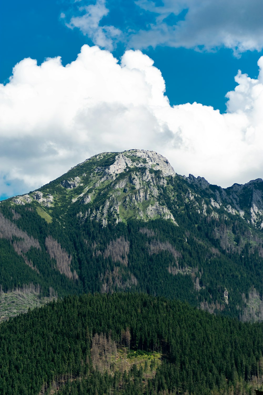 green mountains