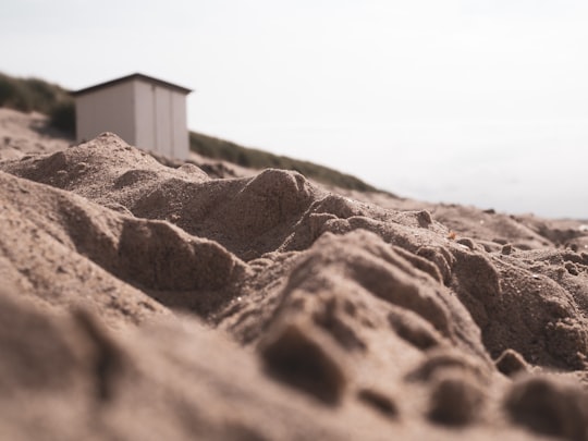 selective focus photography of sands in Cadzand Netherlands