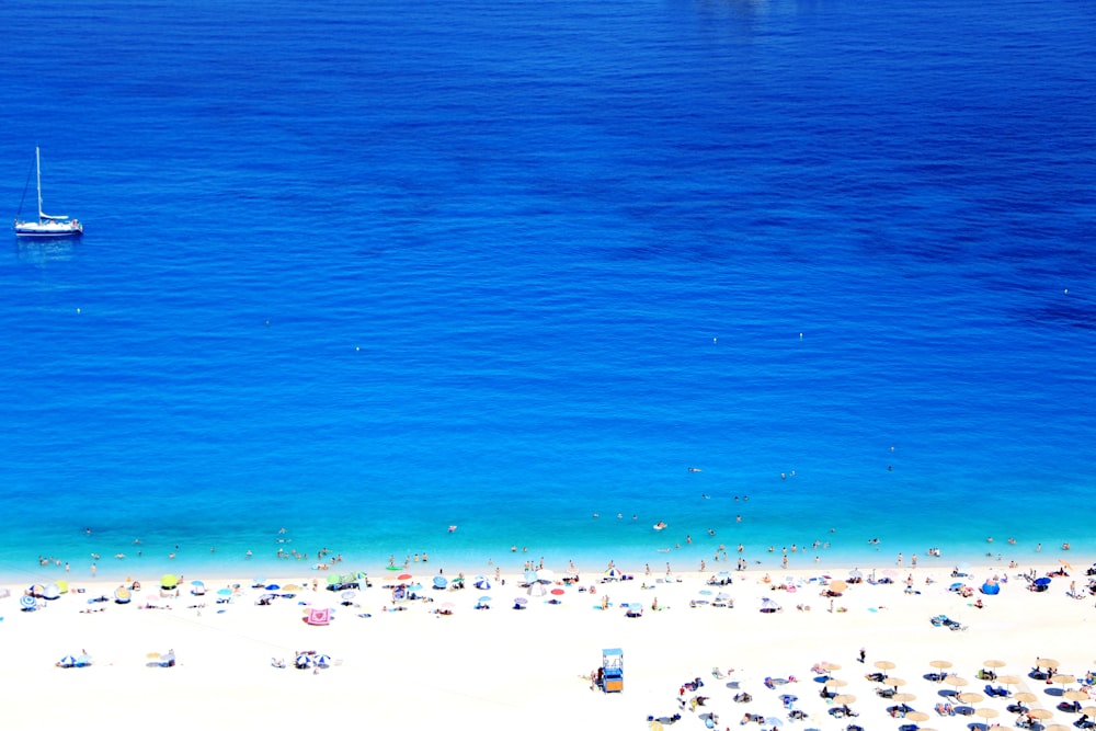 landscape photography of seashore during daytime