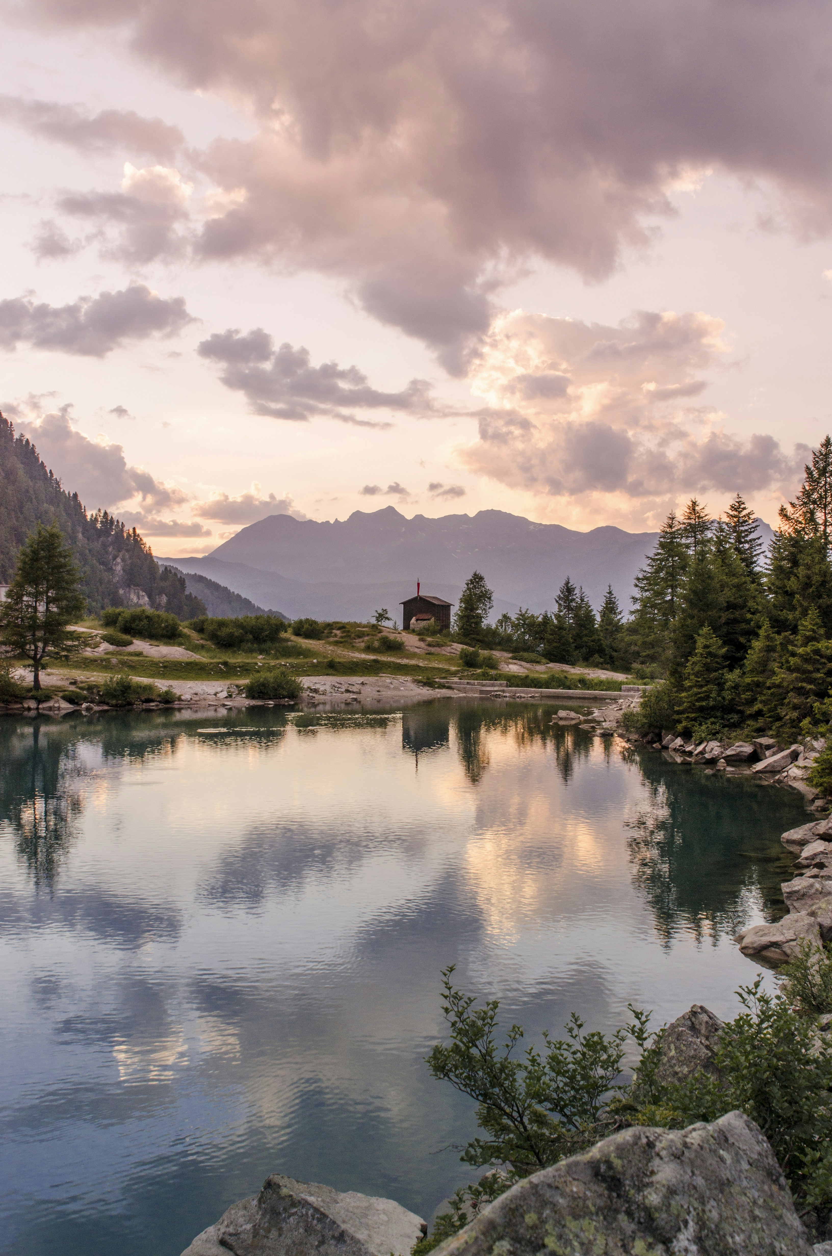 Plan d’eau avec des montagnes et des arbres