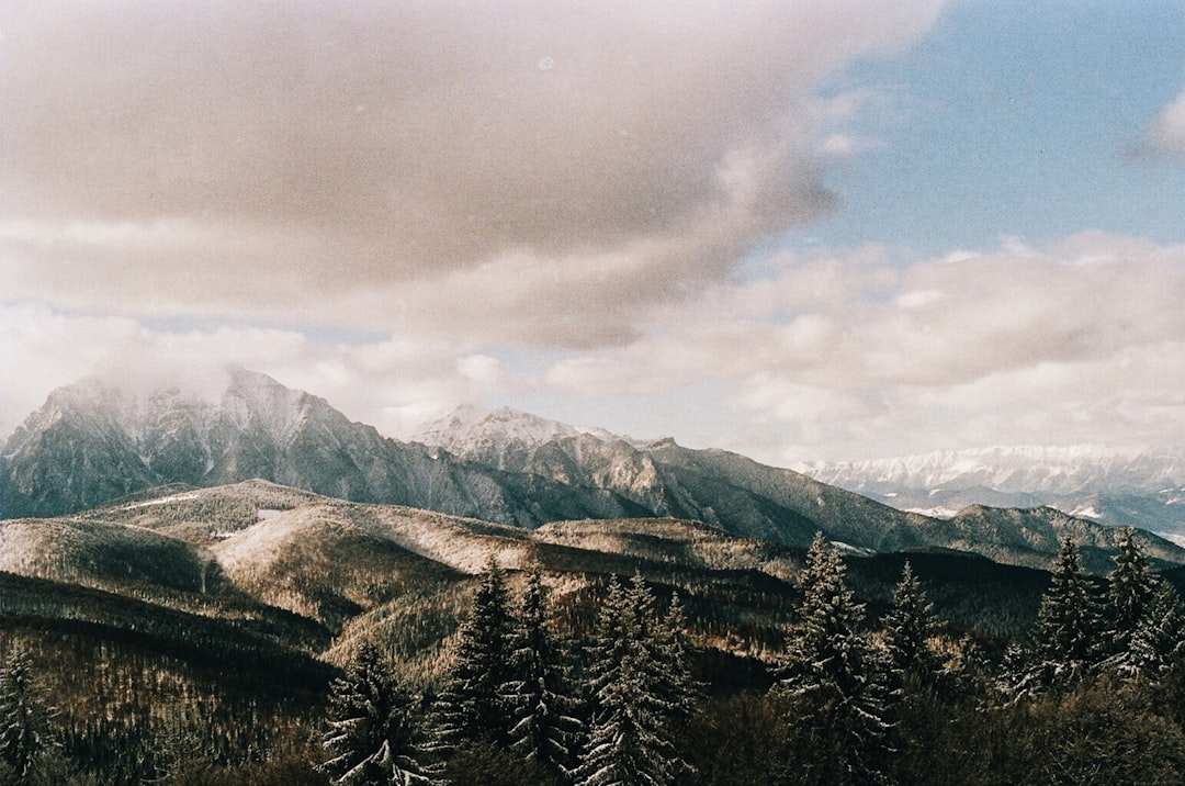 Hill station photo spot Bucegi Mountains Moieciu