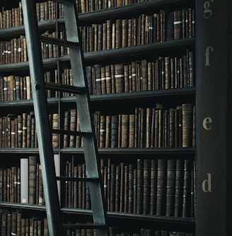 library shelf near black wooden ladder