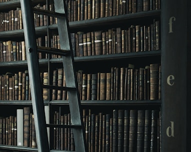 library shelf near black wooden ladder