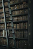 library shelf near black wooden ladder
