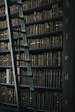 library shelf near black wooden ladder